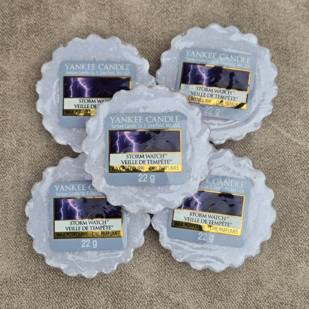 Yankee Candle Storm Watch Tart Wax Melt Retired Fresh Scent